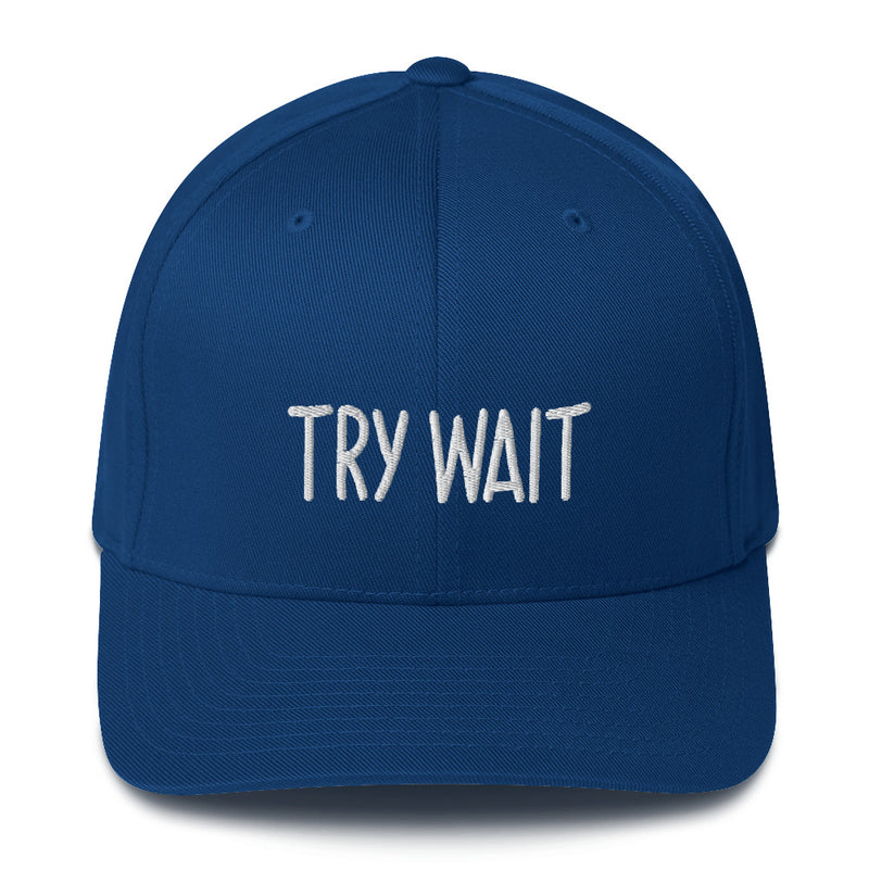 "TRY WAIT" Pidginmoji Dark Structured Cap